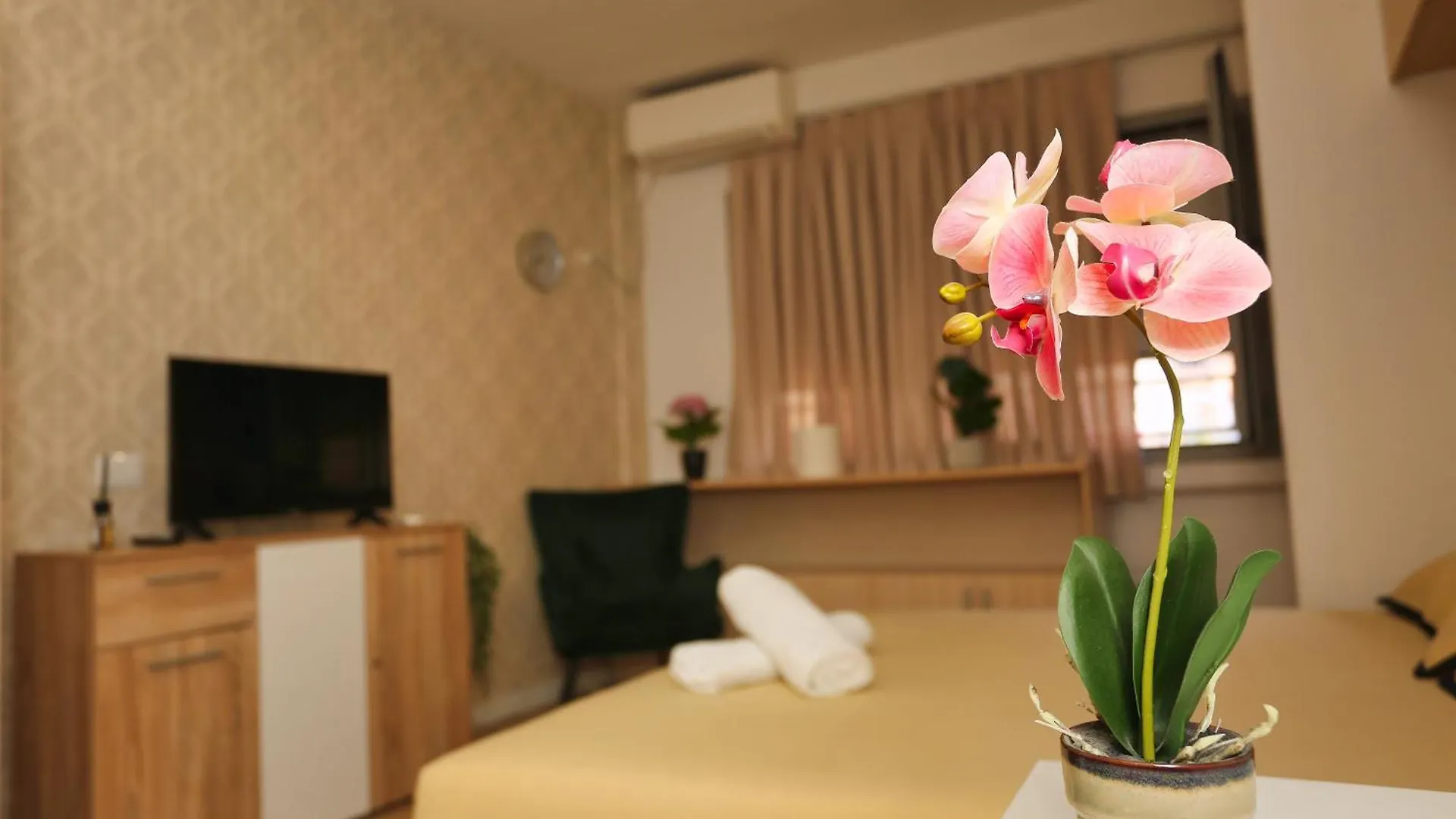 Cozy Apartment Near Square 21 Tirana